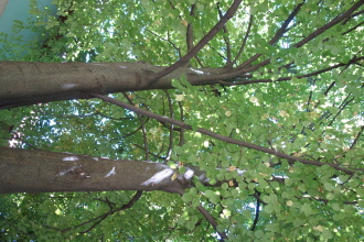 DSC07640