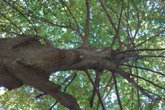 DSC07654