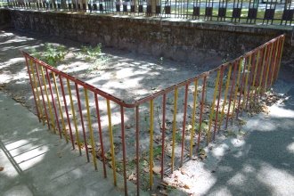 DSC07677