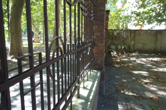 DSC07686