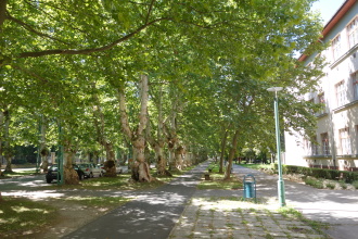 DSC07692