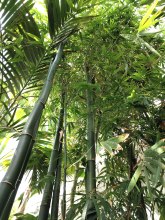 IMG_20180331_143723_