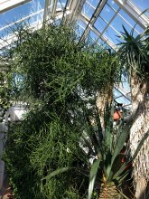 IMG_20180331_144957_